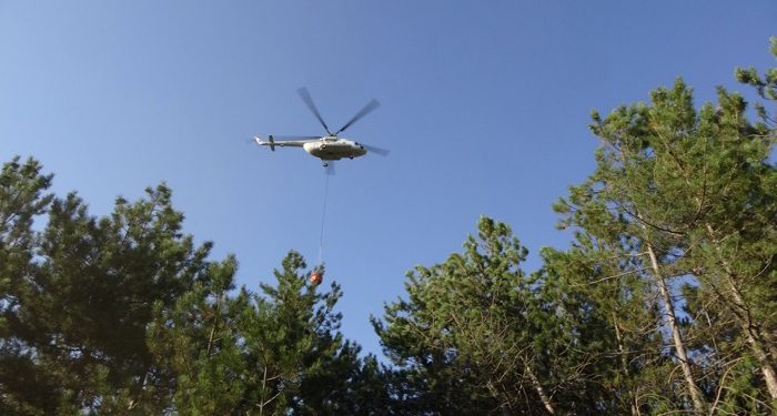 Orman yangını kontrol altına alındı