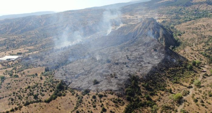 Ilgaz Dağı’ndaki orman yangını kontrol altına alındı