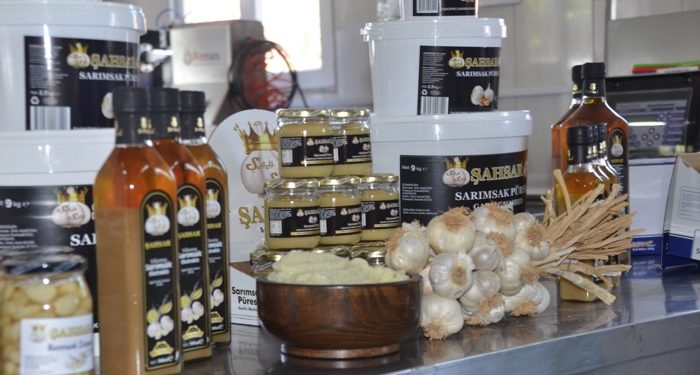 Hobi olarak başladılar, gerisi bereketli geldi