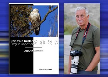 Mehmet Şenol’dan harika eser