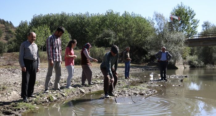 Çayözü köyü atık su sorununa karşı çözüm bekliyor