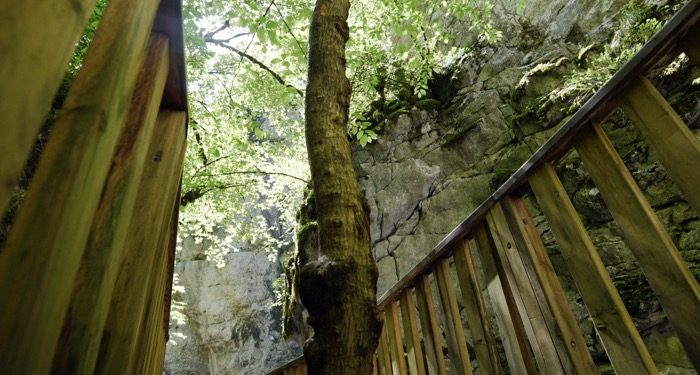 Horma’yı Horma yapan proje