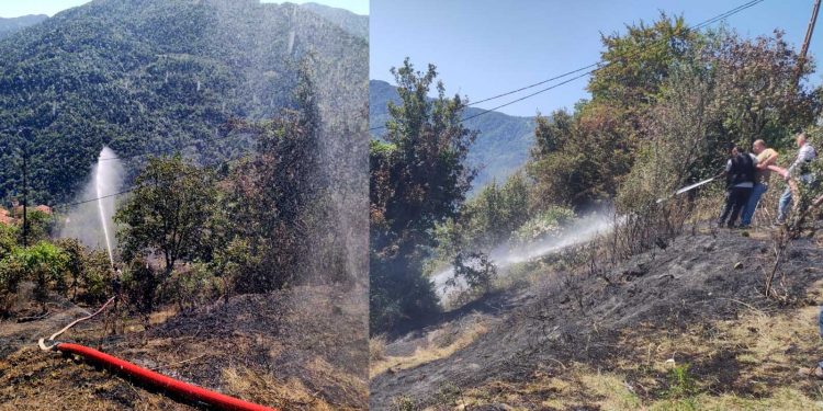 Anız yangını ormana sıçramadan söndürüldü