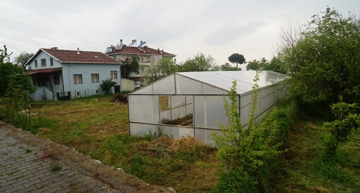 “Serada Üreten Kadınlar” projesi