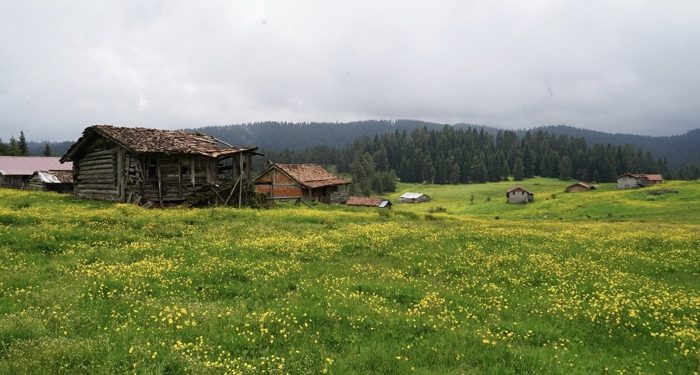 Araç, yayla turizmi cenneti