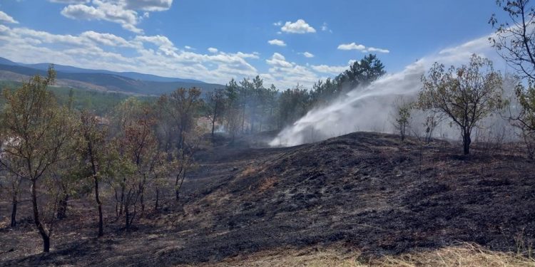 Anız yangını büyümeden söndürüldü