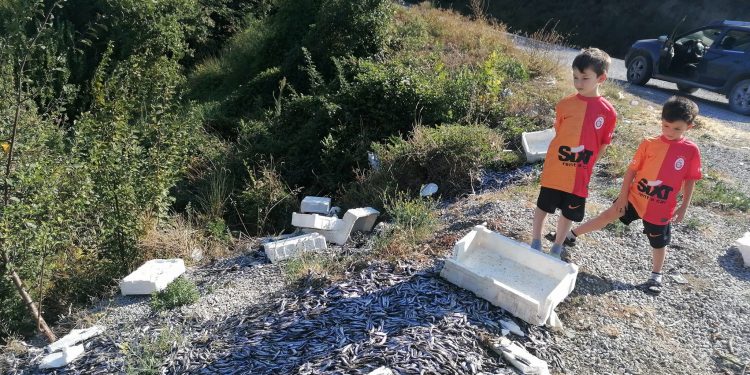 10 kasa balığı yol kenarına attılar