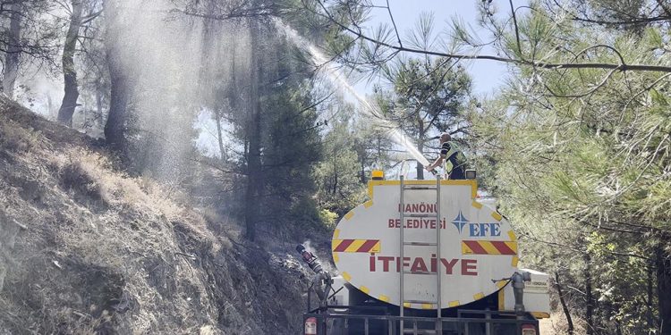 Hanönü’nde orman yangını