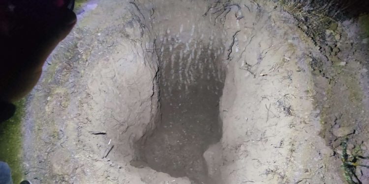 Define avcılarına suçüstü baskın: 5 gözaltı