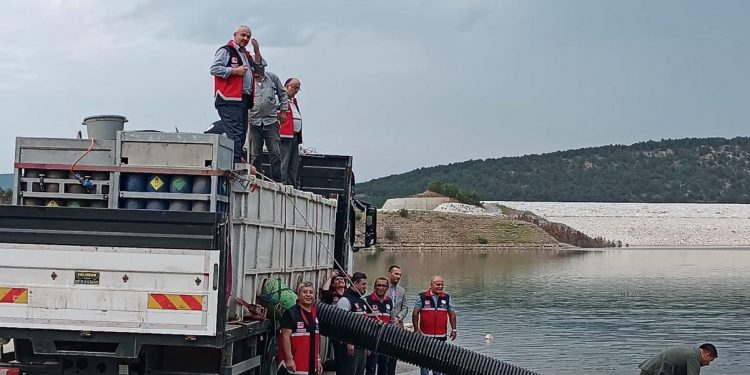 Göletlerimize 1 milyon balık bırakıldı