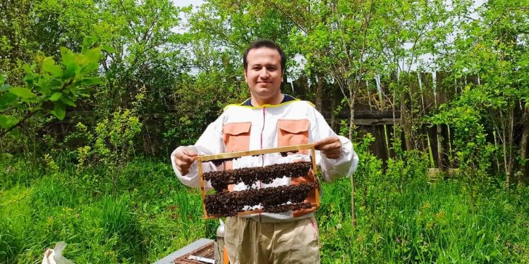 2024 arıcılık sezonu başladı