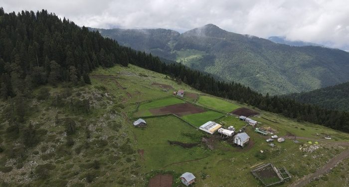 Koru Yaylası, doğaseverleri mest ediyor