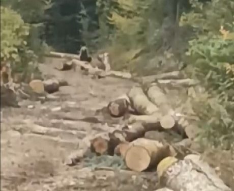 Kocaoğlandan denetim ziyareti!