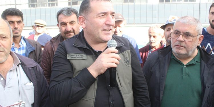 Ormandan kestane toplamaya sınırlama getirildi