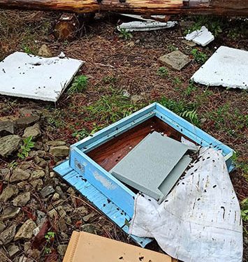 İlçe merkezine inen ayı kovanları parçaladı