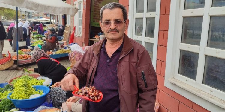 Kışın habercisi kestane, pazara indi