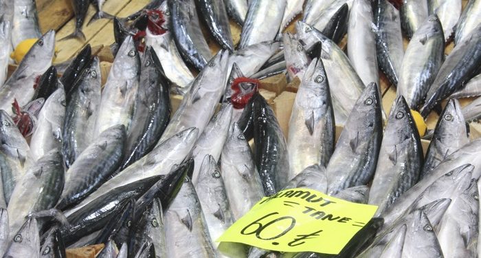İklim değişikliği balık popülasyonunu da etkiledi