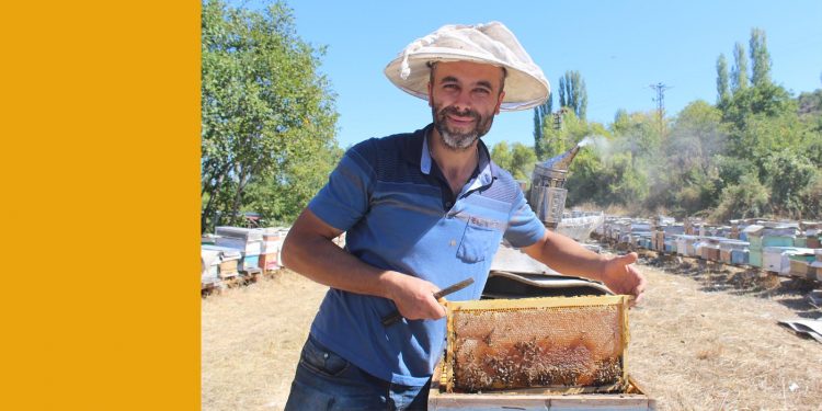 Tosya’da 55 ton bal hasadı yapıldı
