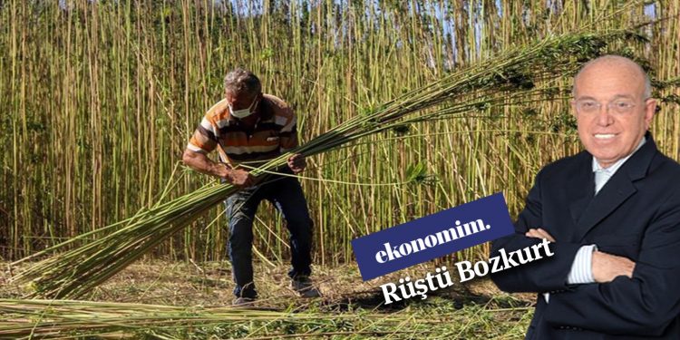 Kenevir ve “malumat mahkûmu” olmak