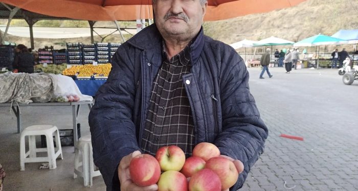 Tosya’da 1350 ton elma rekoltesi elde edildi