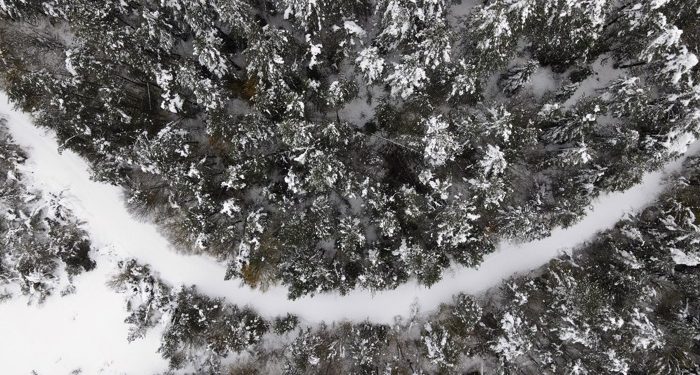 Kar yağışı sonrası ormanlarımıza kuşbakışı seyir