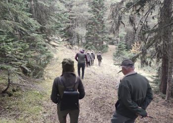 Yaban hayatı envanter çalışması