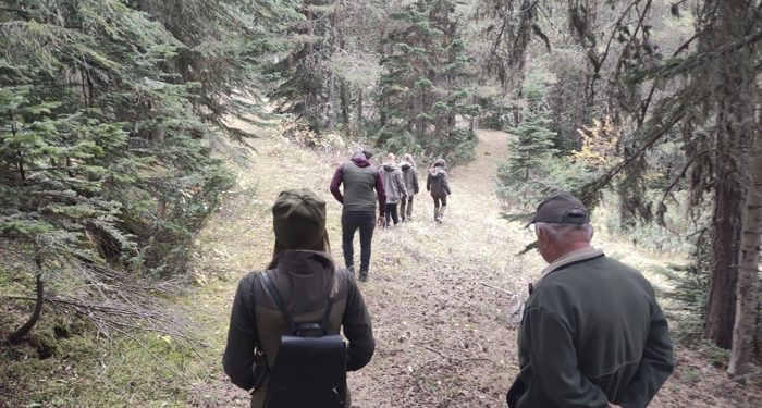 Yaban hayatı envanter çalışması