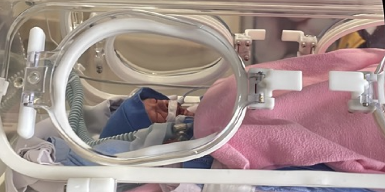 Bebek olayında gelişme