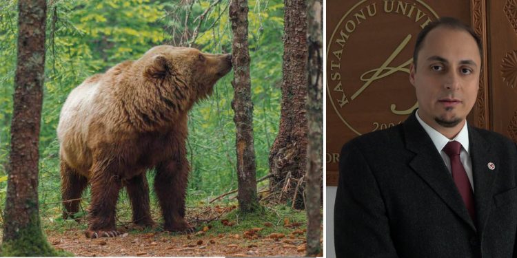 Kocaoğlan ziyaretlerindeki artışla ilgili akademik uyarı