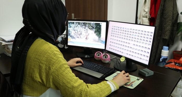 Yaban hayatı akademisyenlerce mercek altına alındı
