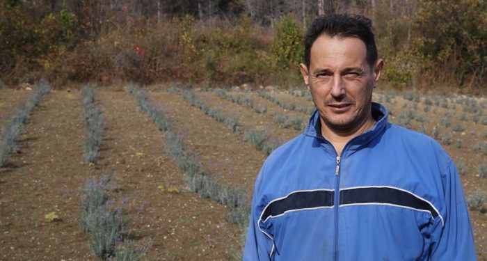 Abanalı otel müdüründen lavanta bahçesi