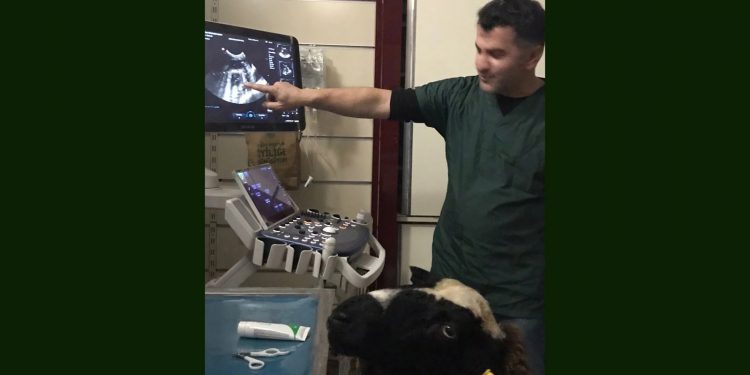 Annelik başka bir şey