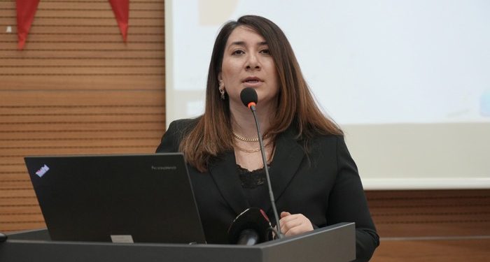 “Bu yıl 357 kadının hayalleri yok edildi”