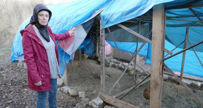 Sokak köpekleri hayallerini yok etti