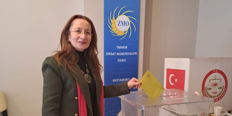 Dilek Özdemir yeniden İl Temsilcisi