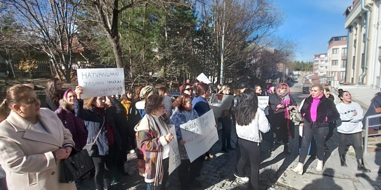 Hayvanseverlerden protesto gösterisi