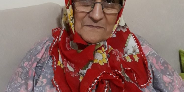 Kamyonun çarptığı yaşlı kadın hayatını kaybetti