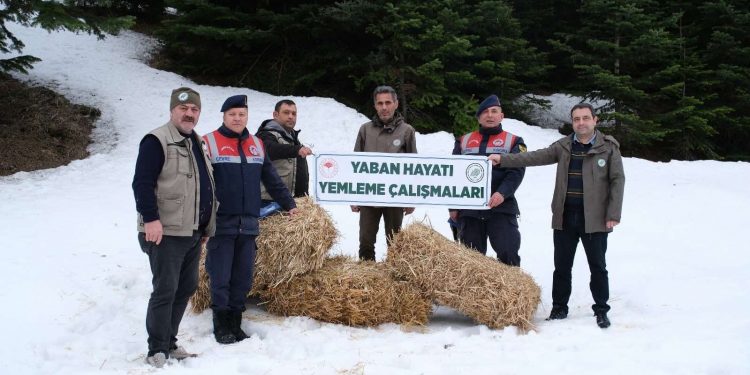 Jandarma ekipleri Dünya Yaban Hayatı Günü’nde doğaya yem bıraktı