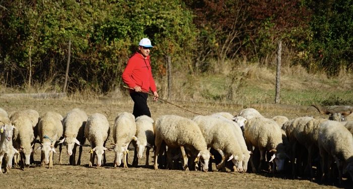 Parayı köyünde buldu