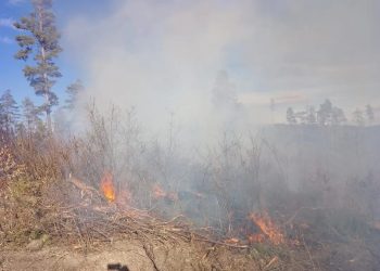 Ormanlık alanda çıkan yangın söndürüldü