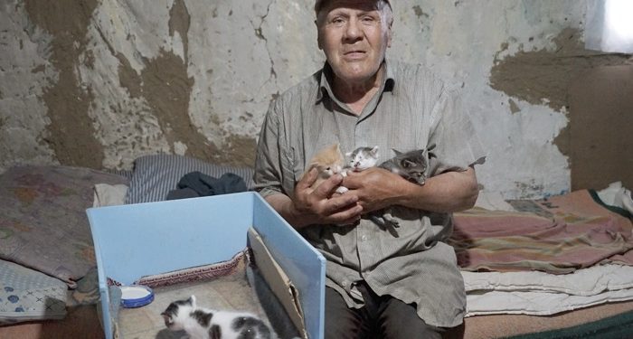 Evinde baygın halde bulundu, beslediği 36 kedi sahipsiz kaldı