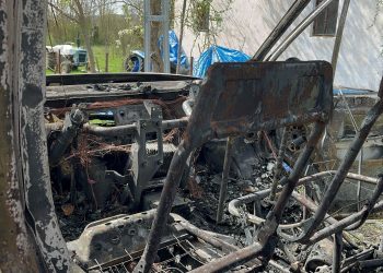 Park halindeki kamyonet alev aldı