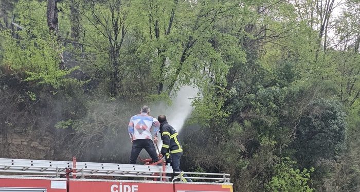 Cide’de orman yangını