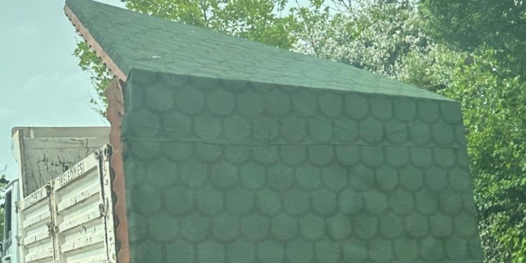 Kamyon kasasında kamelya taşıyan işçiler canından oluyordu