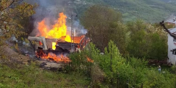 Bozkurt’ta yangın