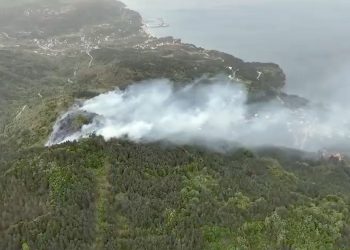 Doğanyurt’ta orman yangını