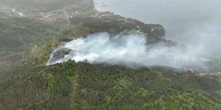 Doğanyurt’ta orman yangını