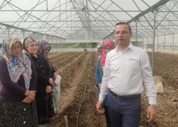 Kadınlar modern serada üretime başladı