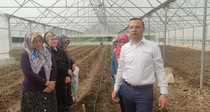 Kadınlar modern serada üretime başladı