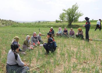 Sarımsak tarlasında kadınlara KADES’i anlattılar